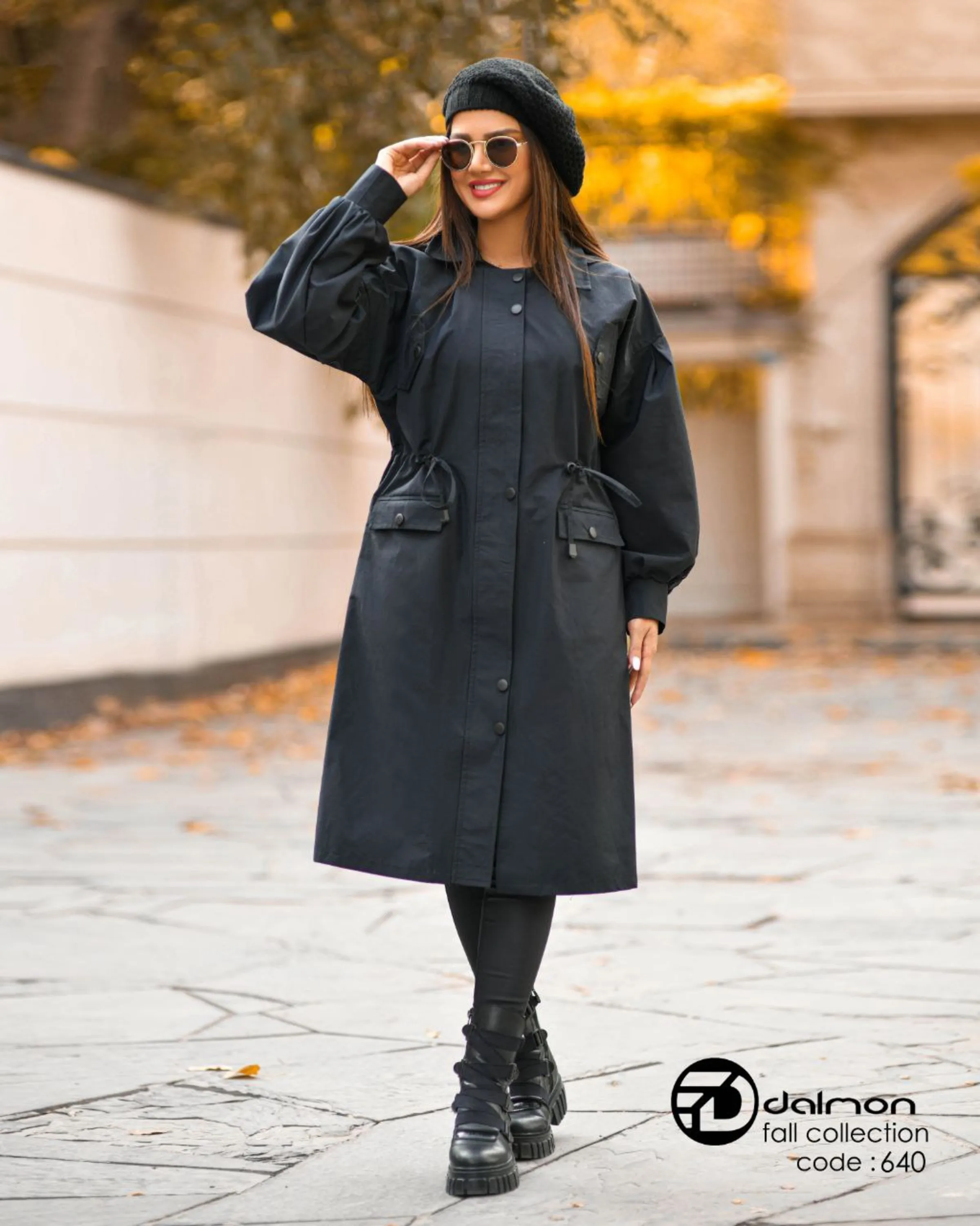 بارونی مدل آیسل