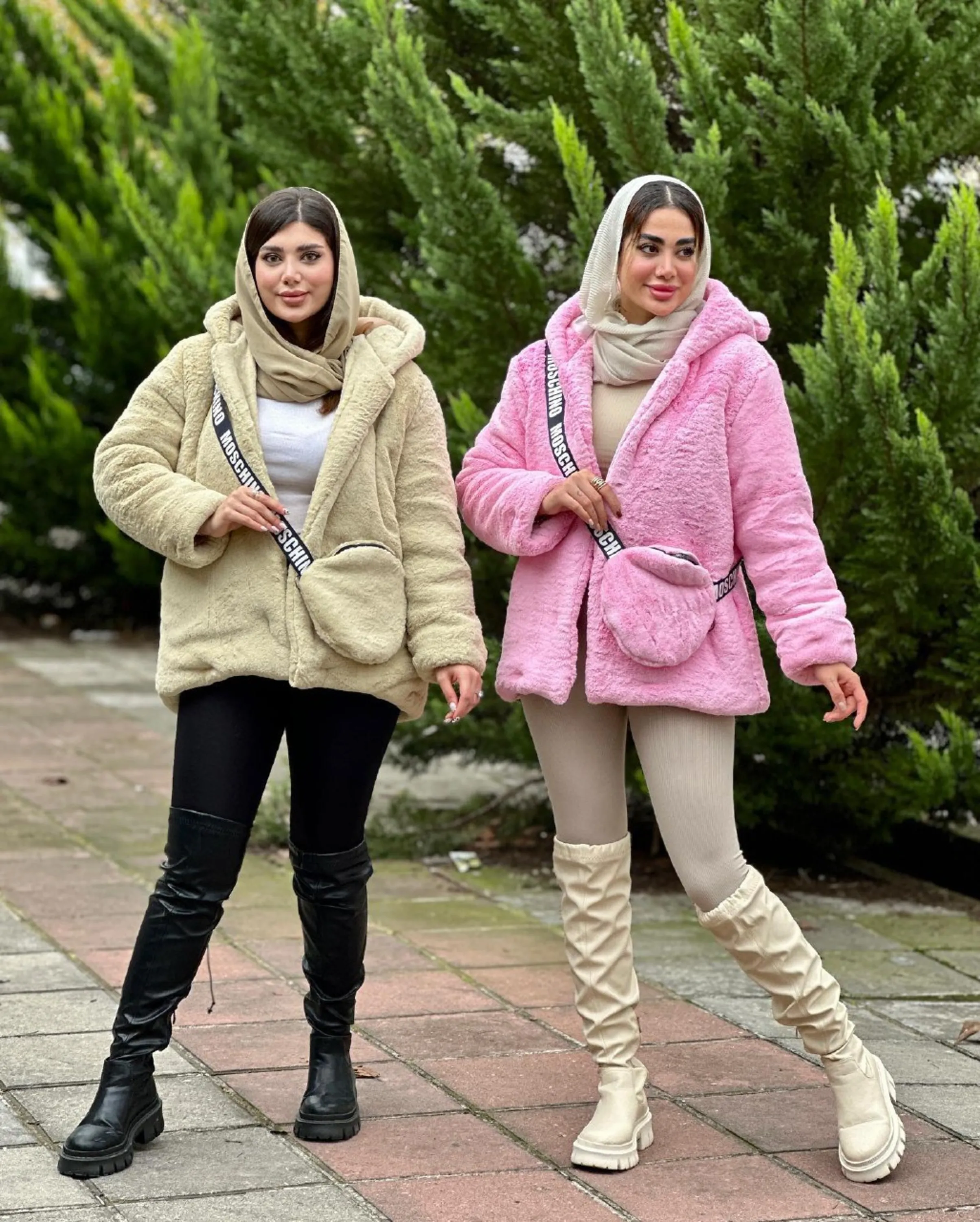 پالتو خرگوشی