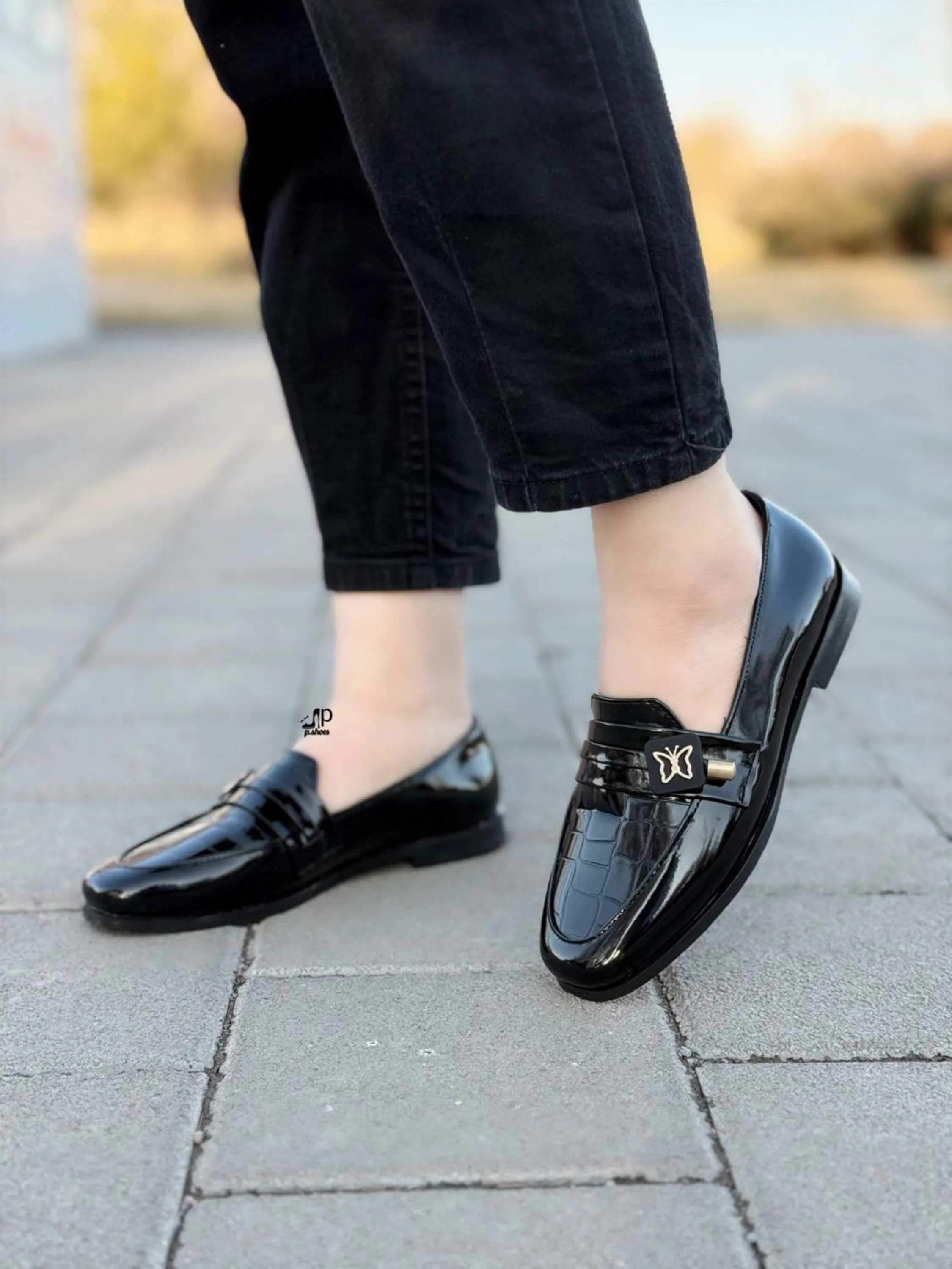 کالج ورنی پروانه